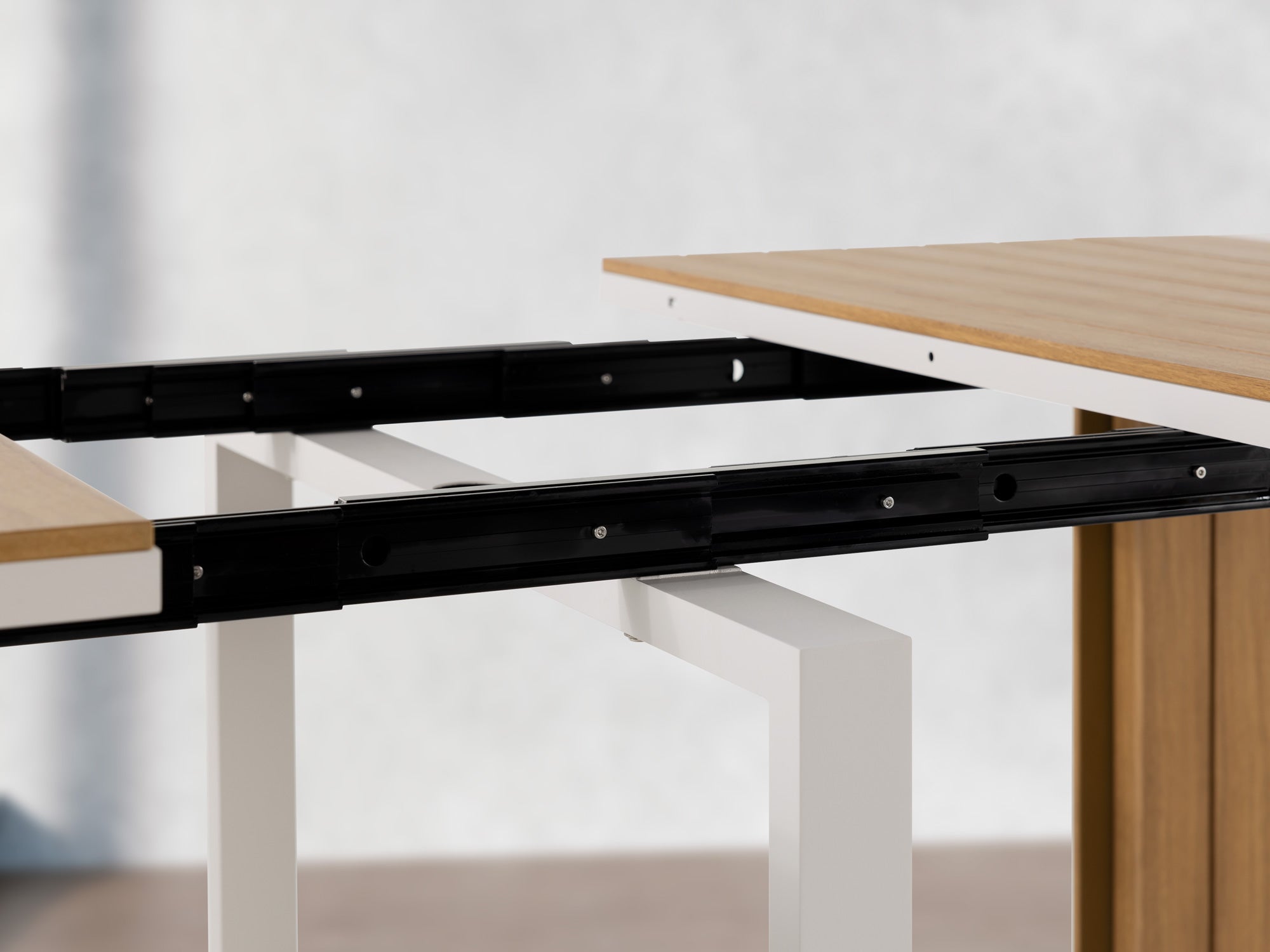 momo_10kiro　whatwewant EXTENSIONTABLE WWW_EXTENSION TABLE – WHAT WE WANT
