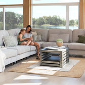 American Silver Birch::Gallery