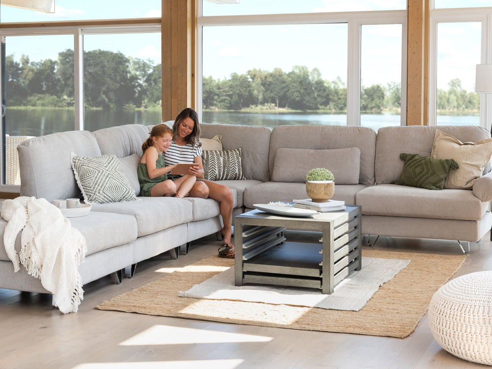 American Silver Birch::Gallery