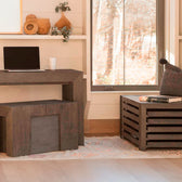 American Silver Birch::Gallery