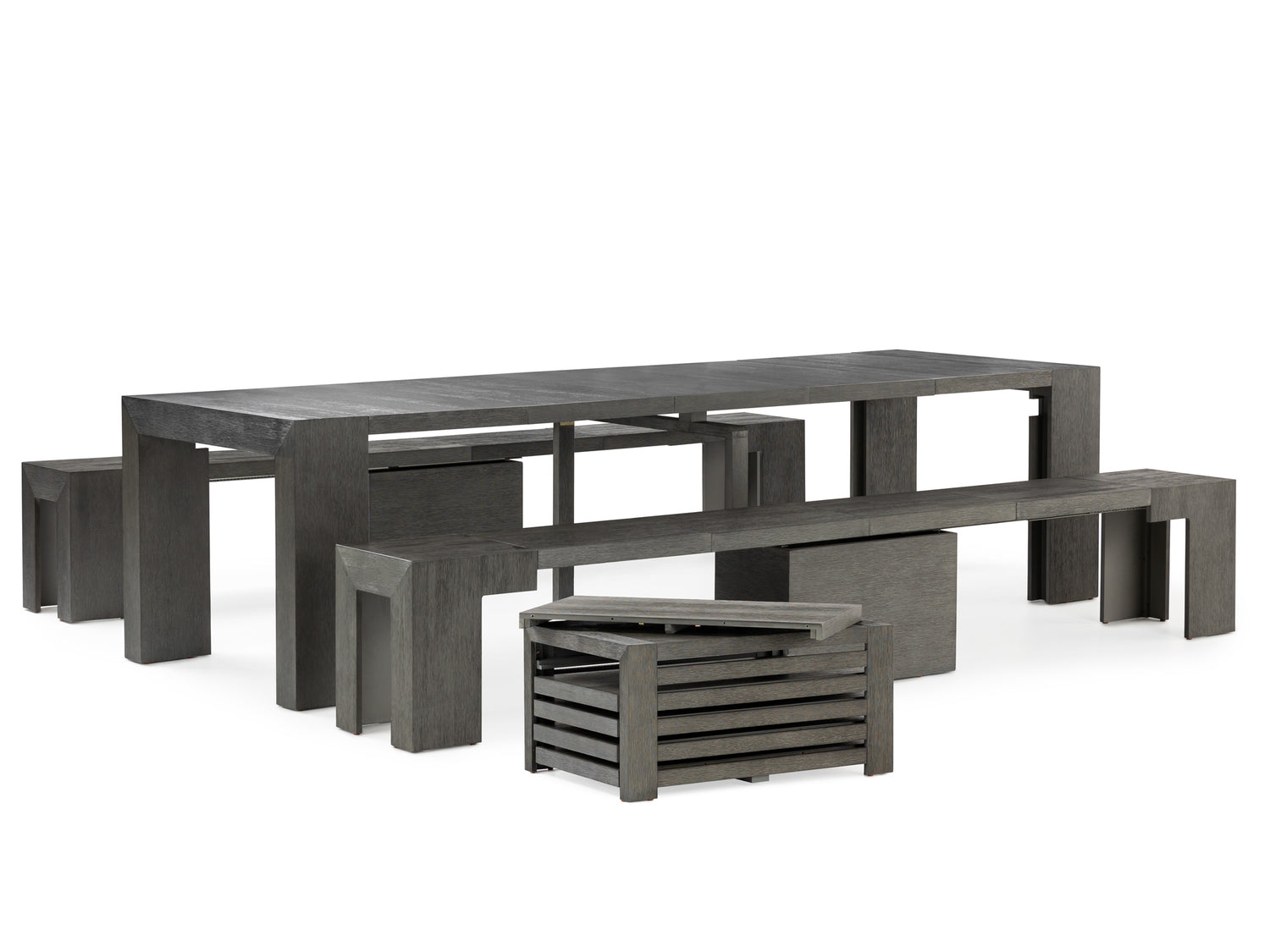 American Silver Birch::Gallery