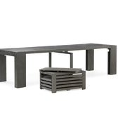 American Silver Birch::Gallery