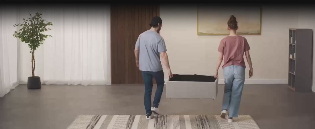 TT couch - 1916 x 784.mp4